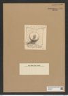 Amphitetras radiata Grev. (de-Toni-Nr.: Genus 137, Species 3621) Zeichnungen Sammlung Grunow Nr. 7120 (NHMW-BOT-W0376081)